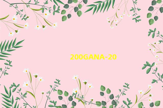 200GANA-2084系列封面图解